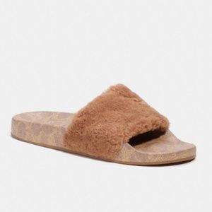 Coach Slide With Shearling